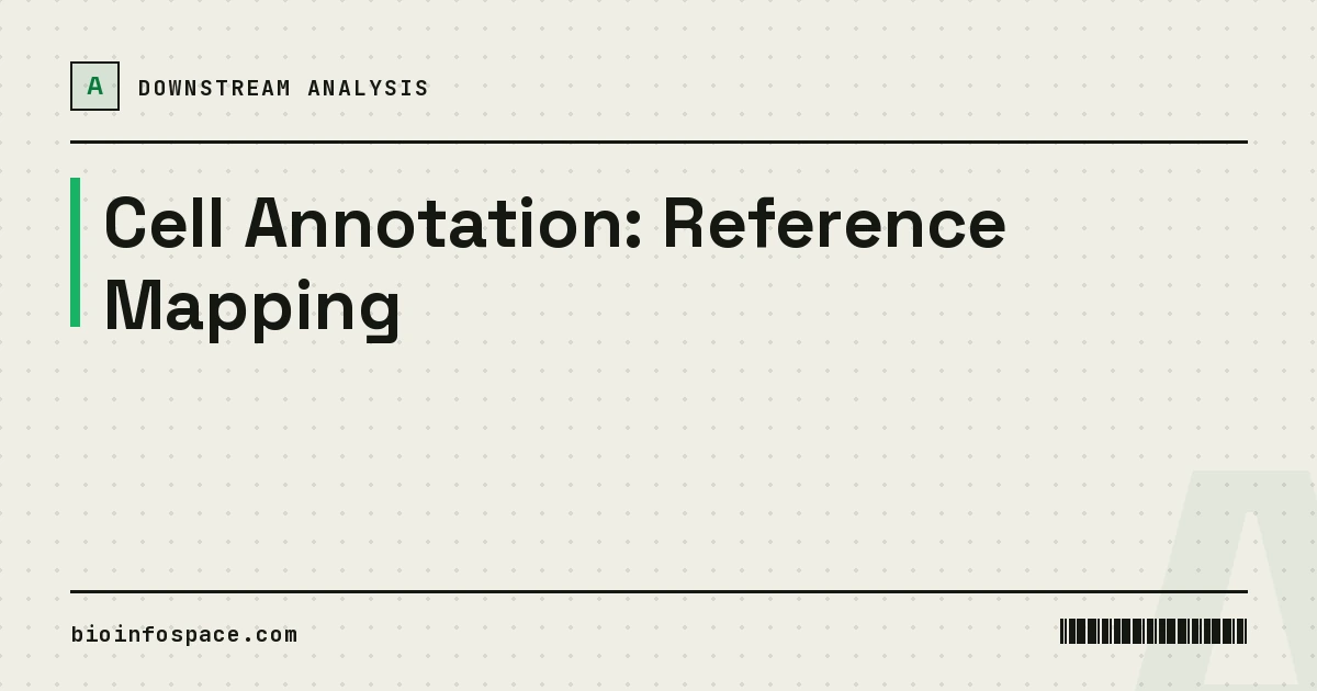 Cell Annotation: Reference Mapping