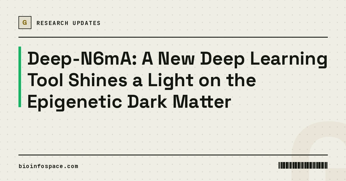 Deep-N6mA: A New Deep Learning Tool Shines a Light on the Epigenetic Dark Matter