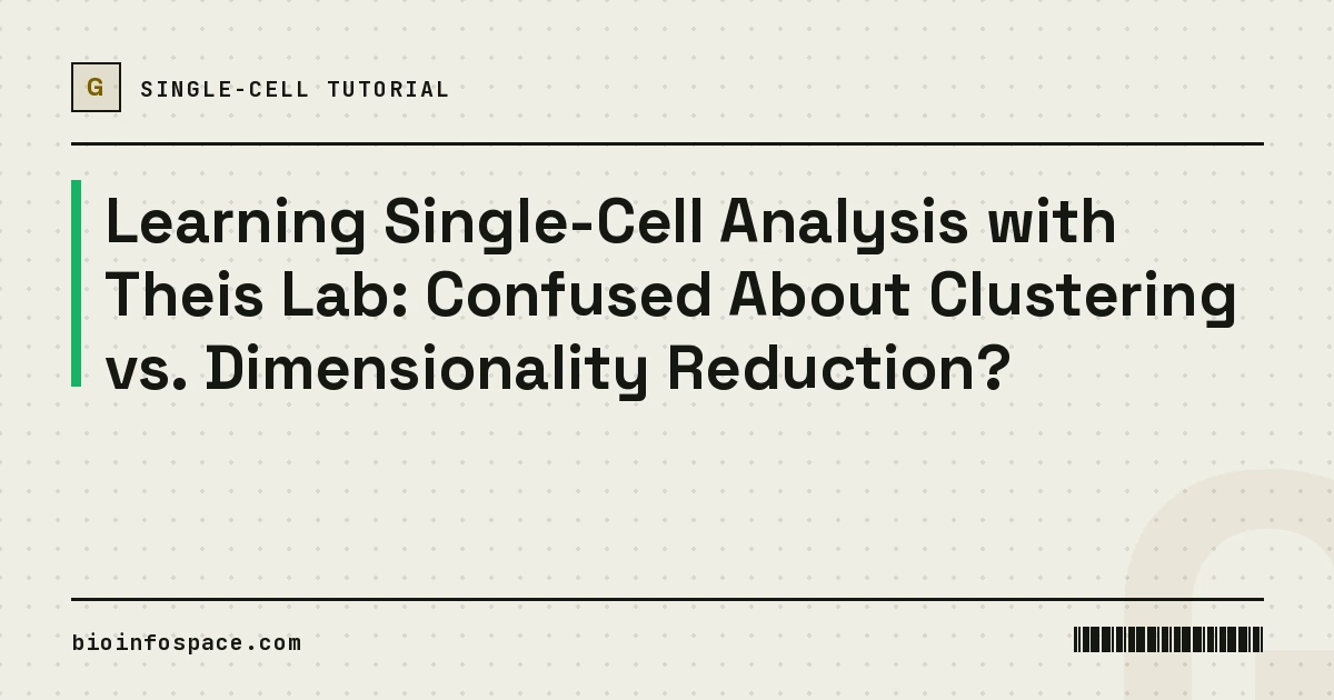 Learning Single-Cell Analysis with Theis Lab: Confused About Clustering vs. Dimensionality Reduction?