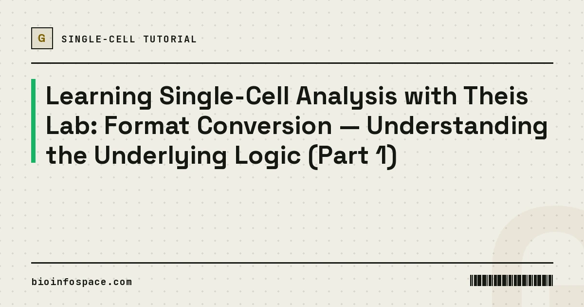 Learning Single-Cell Analysis with Theis Lab: Format Conversion — Understanding the Underlying Logic (Part 1)