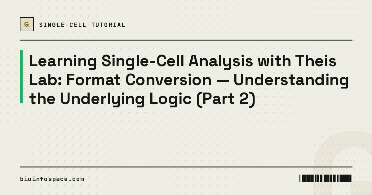 Learning Single-Cell Analysis with Theis Lab: Format Conversion — Understanding the Underlying Logic (Part 2)