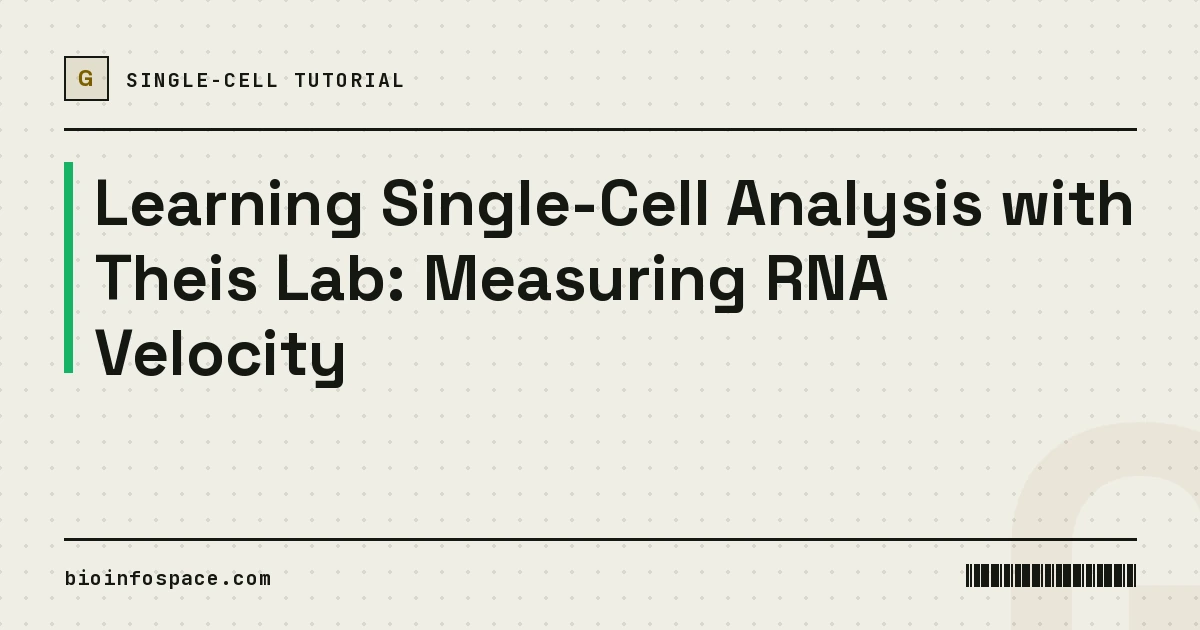 Learning Single-Cell Analysis with Theis Lab: Measuring RNA Velocity