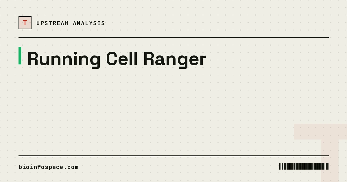 Running Cell Ranger