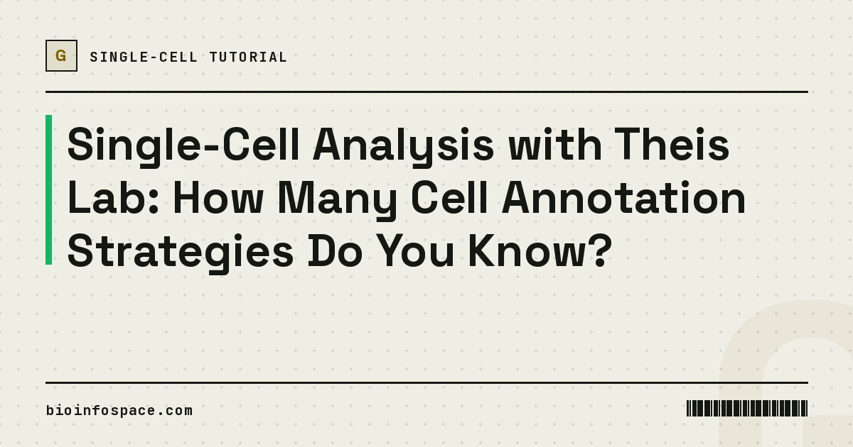 Single-Cell Analysis with Theis Lab: How Many Cell Annotation Strategies Do You Know?