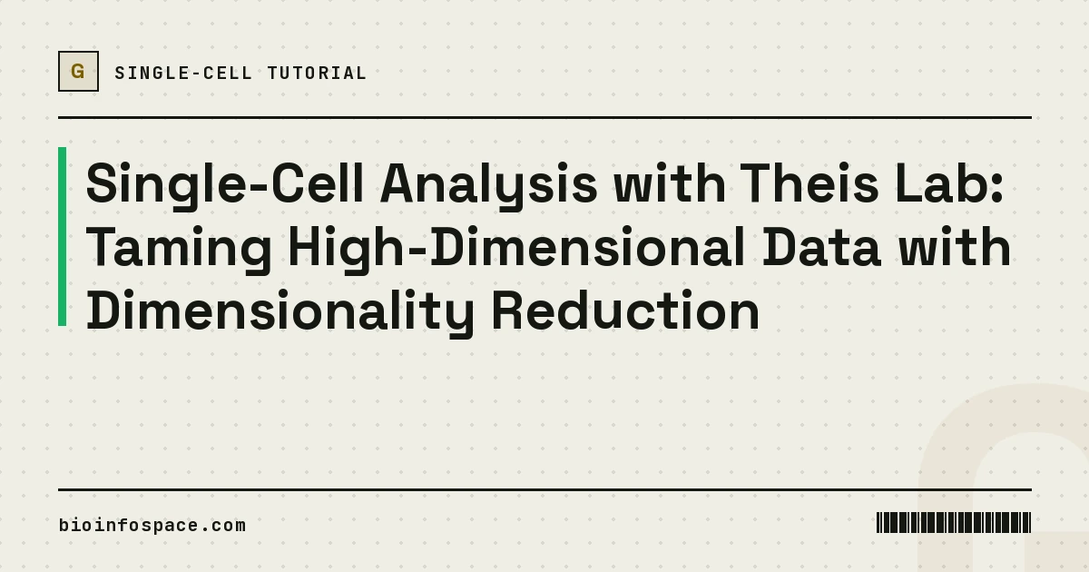 Single-Cell Analysis with Theis Lab: Taming High-Dimensional Data with Dimensionality Reduction