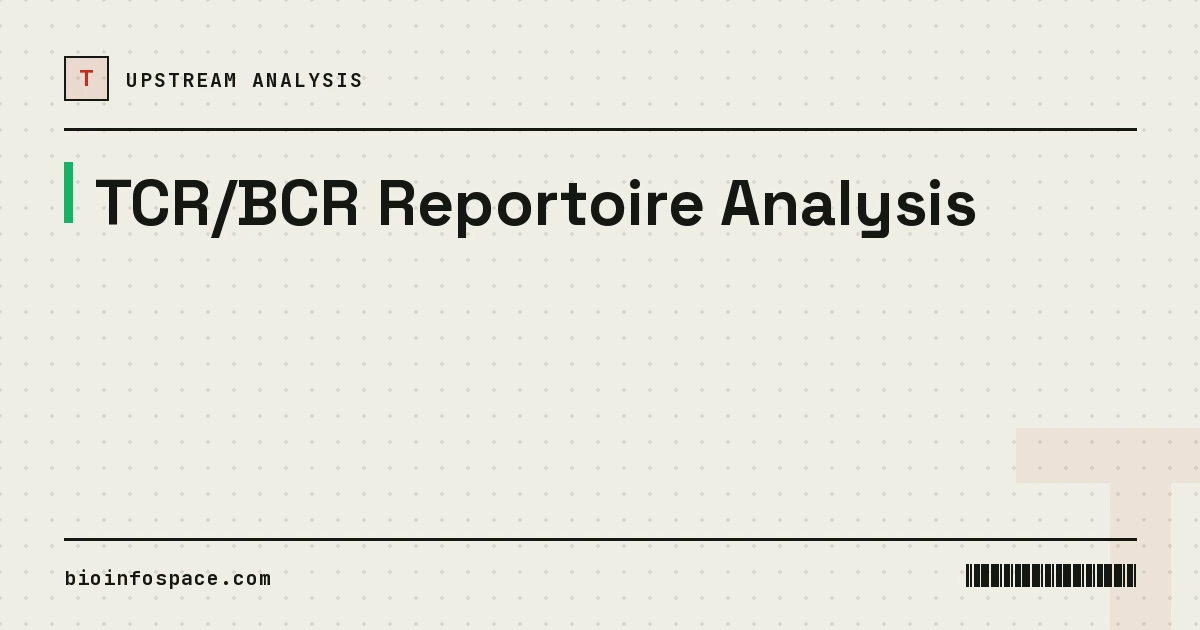 TCR/BCR Reportoire Analysis