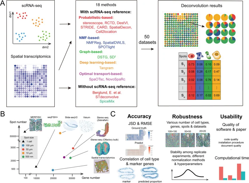 The summarization of benchmarking pipeline. A Eighteen cellular deconvolution methods, classified based on their data requirements and computational techniques, were evaluated with 50 simulated and real-world spatial transcriptomics datasets. B Datasets from six spatial transcriptomics technologies were used for benchmarking, and the scatter plot shows the resolution of each spot and number of spots and genes in each technology. C The benchmarking results were measured according to the accuracy, robustness, and usability of the methods.