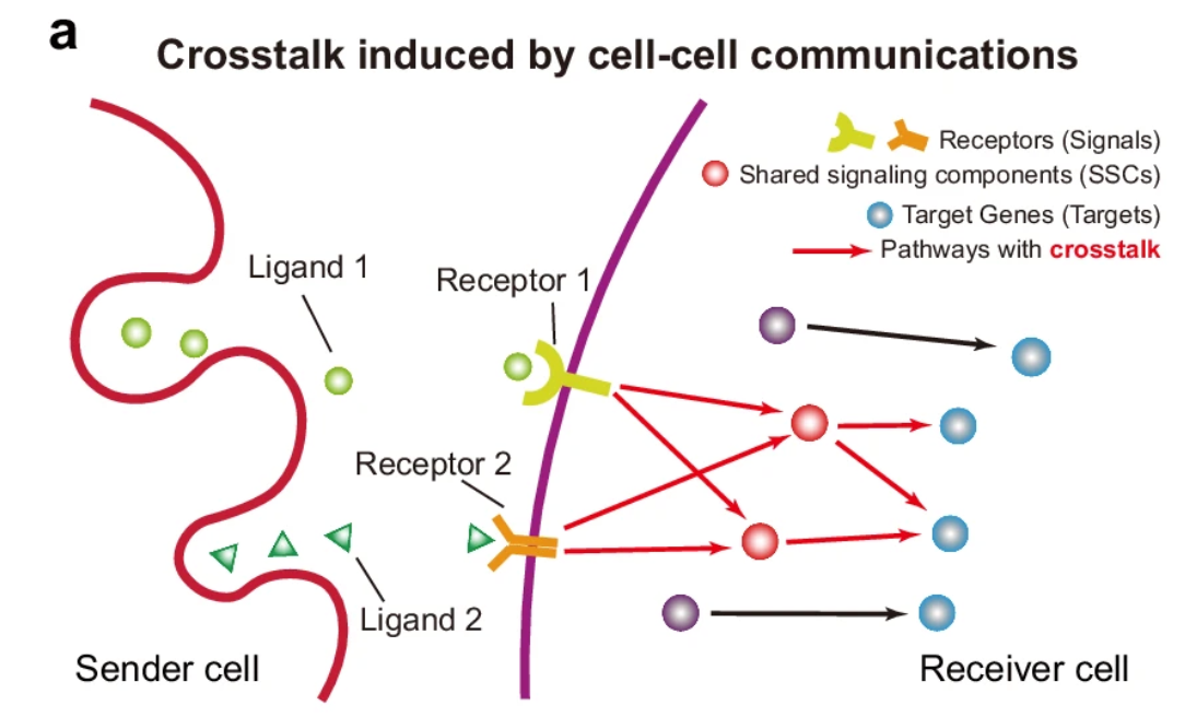 Fig 1a, Hou et al., Nat Comm 2025