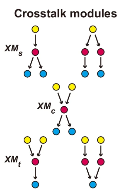 Fig 1b, Hou et al., Nat Comm 2025