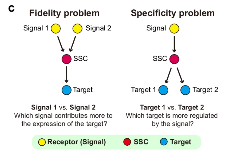 Fig 1c, Hou et al., Nat Comm 2025
