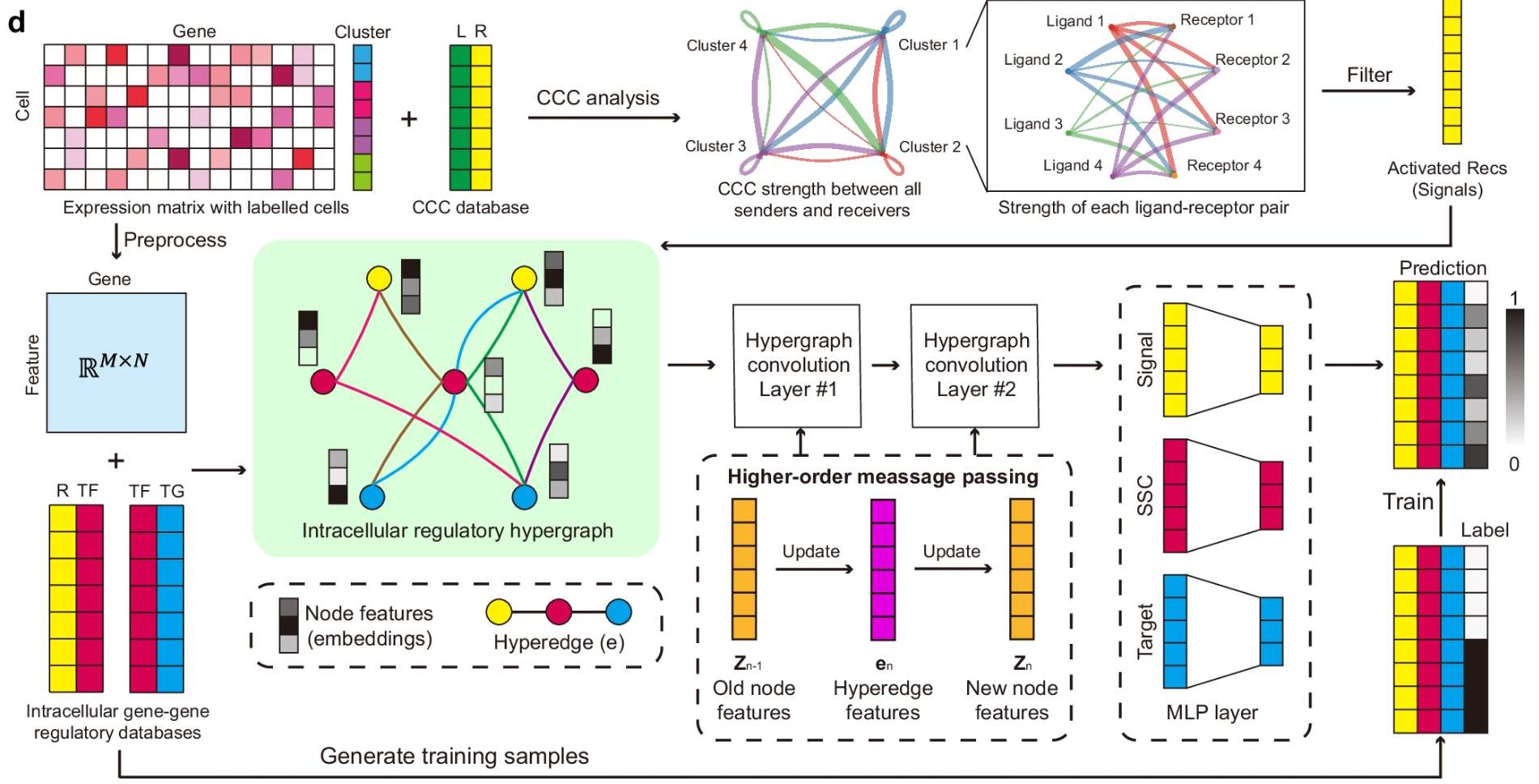 Fig 1d, Hou et al., Nat Comm 2025