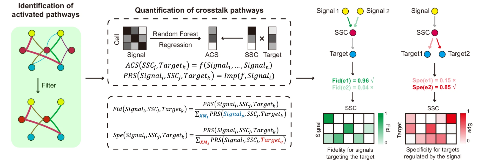 Fig 1e, Hou et al., Nat Comm 2025